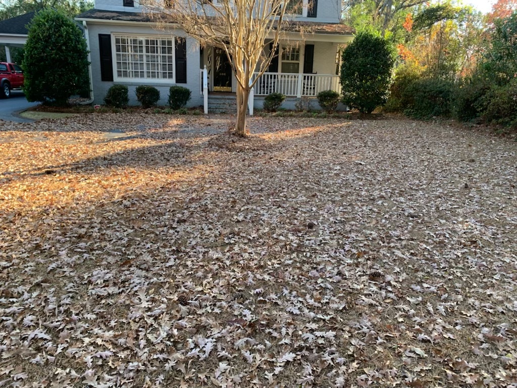 leaf and straw cleanup