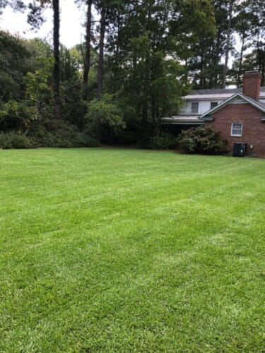 Freshly Mowed Lawn in Darlington SC