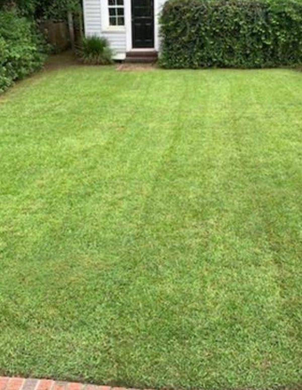 Lawn Care Florence SC – Mow Lawn Care Florence SC - Mow